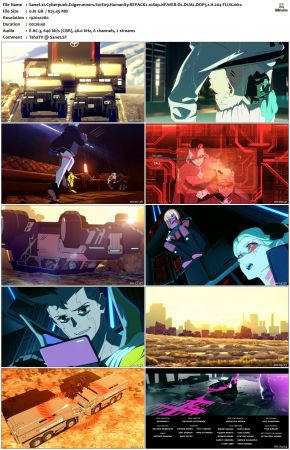 Cyberpunk Edgerunners S01 REPACK2 1080p NF WEB-DL DUAL DDP5 1 H264-FLUX