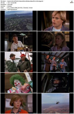 Airwolf S02 1080p BluRay DD2.0 H265-d3g