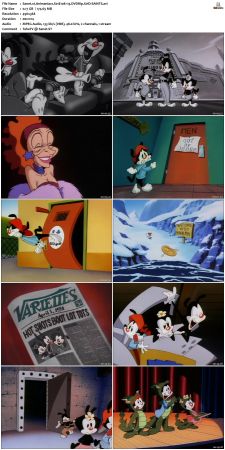 Animaniacs 1993 S01 DVDRip XviD-SAiNTS