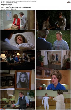 Hart To Hart S01 1080p WEBRip x265-RARBG
