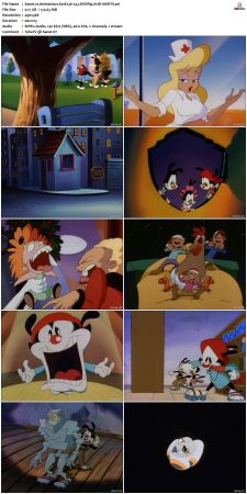 Animaniacs 1993 S01 DVDRip XviD-SAiNTS