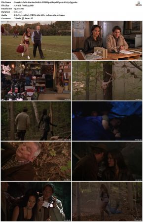 Relic Hunter S01 1080p WEBRip DDP2.0 H265-d3g