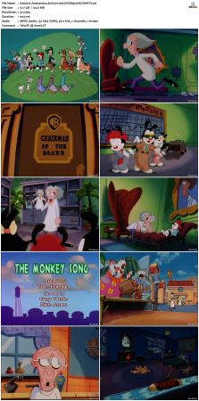 Animaniacs 1993 S01 DVDRip XviD-SAiNTS