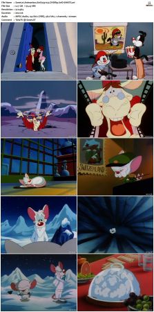 Animaniacs 1993 S01 DVDRip XviD-SAiNTS