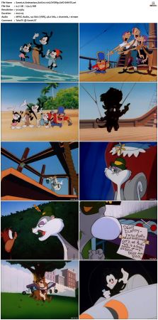 Animaniacs 1993 S01 DVDRip XviD-SAiNTS