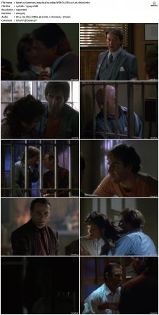 Quantum Leap S03 1080p WEB-DL DD20 H264-Mooi