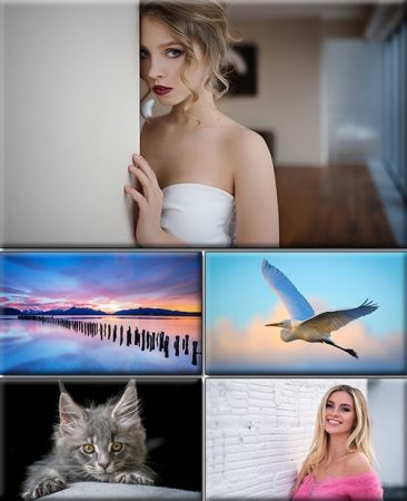 Computer Desktop Wallpapers Collection. Part (2854)