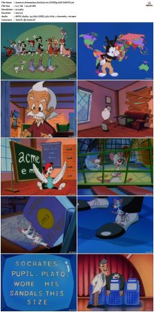 Animaniacs 1993 S01 DVDRip XviD-SAiNTS