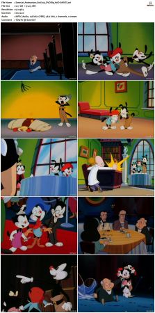 Animaniacs 1993 S01 DVDRip XviD-SAiNTS