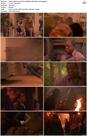 Relic Hunter S02 1080p WEBRip DDP2.0 H265-d3g
