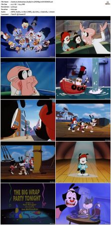 Animaniacs 1993 S03 DVDRip XviD-SAiNTS