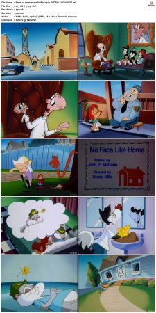 Animaniacs 1993 S01 DVDRip XviD-SAiNTS