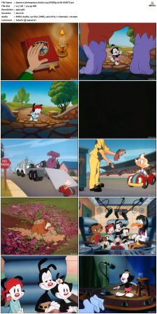 Animaniacs 1993 S02 DVDRip XviD-SAiNTS