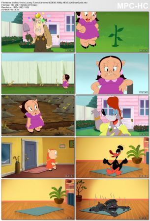 Looney Tunes Cartoons S03 1080p x265-MeGusta