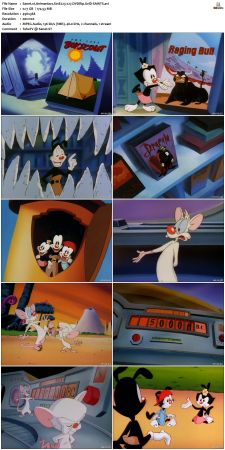 Animaniacs 1993 S01 DVDRip XviD-SAiNTS