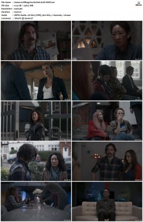 Killing Eve S02 XviD-ZMNT