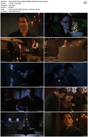 Relic Hunter S03 1080p WEBRip DDP2.0 H265-d3g