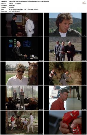 Airwolf S03 1080p BluRay DD2.0 H265-d3g