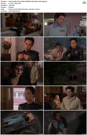 Relic Hunter S03 1080p WEBRip DDP2.0 H265-d3g