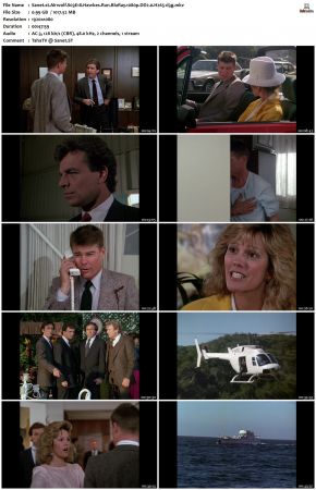 Airwolf S03 1080p BluRay DD2.0 H265-d3g