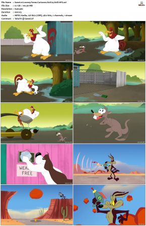 Looney Tunes Cartoons S01 REPACK XviD-AFG