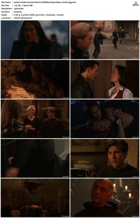 Relic Hunter S02 1080p WEBRip DDP2.0 H265-d3g