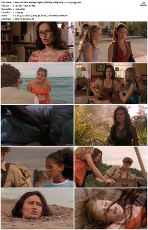 Relic Hunter S03 1080p WEBRip DDP2.0 H265-d3g