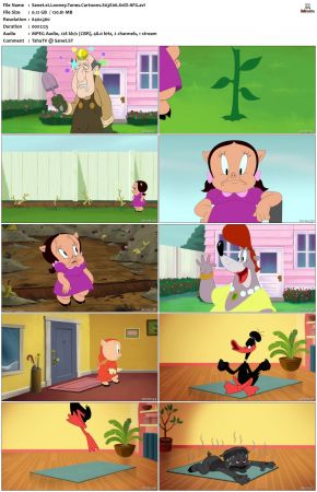 Looney Tunes Cartoons S03 XviD-AFG