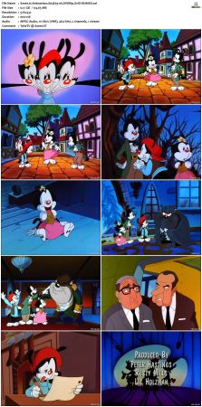 Animaniacs 1993 S04 DVDRip XviD-DEiMOS