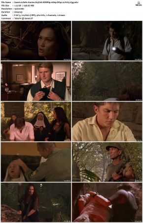 Relic Hunter S03 1080p WEBRip DDP2.0 H265-d3g