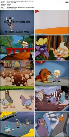Animaniacs 1993 S01 DVDRip XviD-SAiNTS