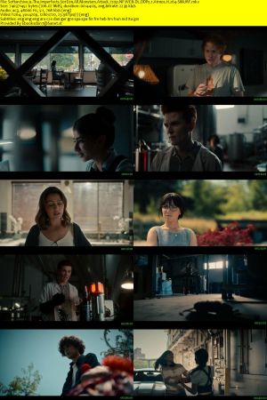 The Imperfects S01 720p NF WEB-DL DDP5.1 Atmos H264-SMURF