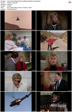 Airwolf S03 1080p BluRay DD2.0 H265-d3g