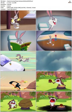Looney Tunes Cartoons S01 REPACK XviD-AFG