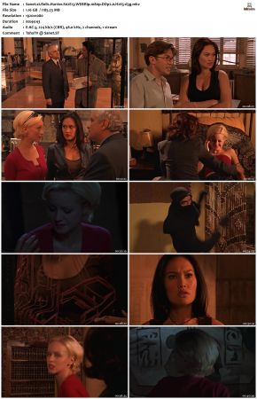 Relic Hunter S02 1080p WEBRip DDP2.0 H265-d3g