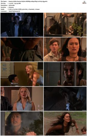 Relic Hunter S03 1080p WEBRip DDP2.0 H265-d3g