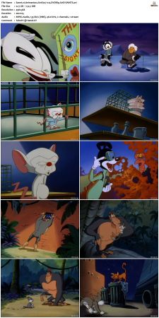 Animaniacs 1993 S01 DVDRip XviD-SAiNTS