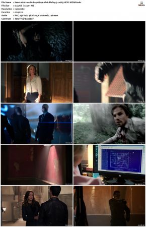 Arrow S01 1080p 10bit BluRay x265 HEVC-MZABI