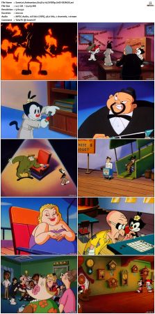 Animaniacs 1993 S04 DVDRip XviD-DEiMOS