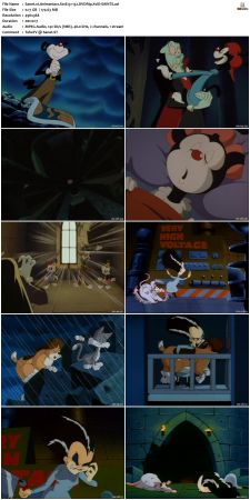 Animaniacs 1993 S01 DVDRip XviD-SAiNTS
