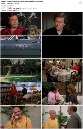 Hart To Hart S04 1080p WEBRip x265-RARBG
