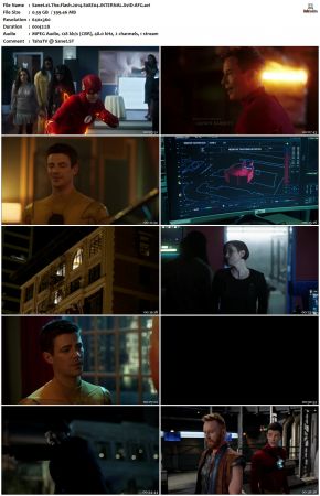 The Flash S08 XviD-AFG