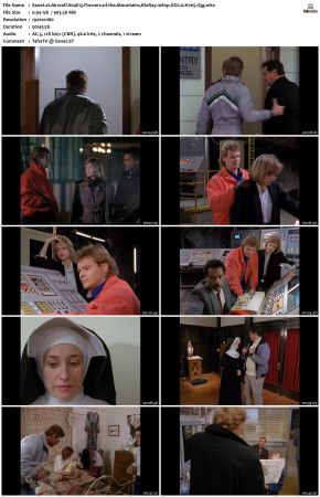 Airwolf S04 1080p BluRay DD2.0 H265-d3g