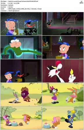 Looney Tunes Cartoons S01 REPACK XviD-AFG