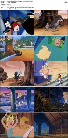 Animaniacs 1993 S03 DVDRip XviD-SAiNTS