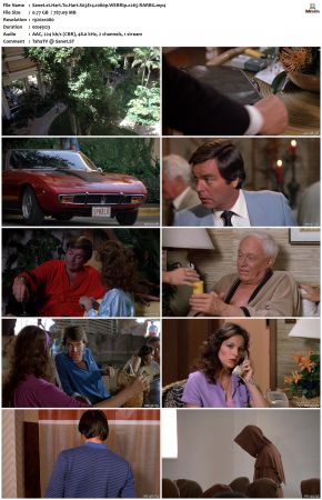 Hart To Hart S03 1080p WEBRip x265-RARBG