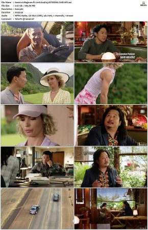 Magnum P I S04 XviD-AFG