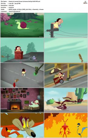 Looney Tunes Cartoons S01 REPACK XviD-AFG