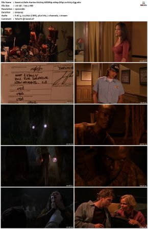 Relic Hunter S02 1080p WEBRip DDP2.0 H265-d3g