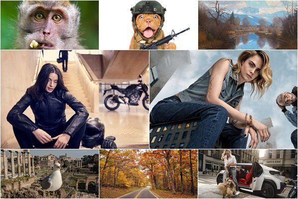 Collections Desktop Wallpapers - Part 1609